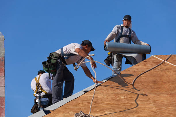 Best Storm Damage Roof Repair  in Kamas, UT