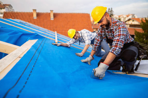 Roof Gutter Cleaning in Kamas, UT